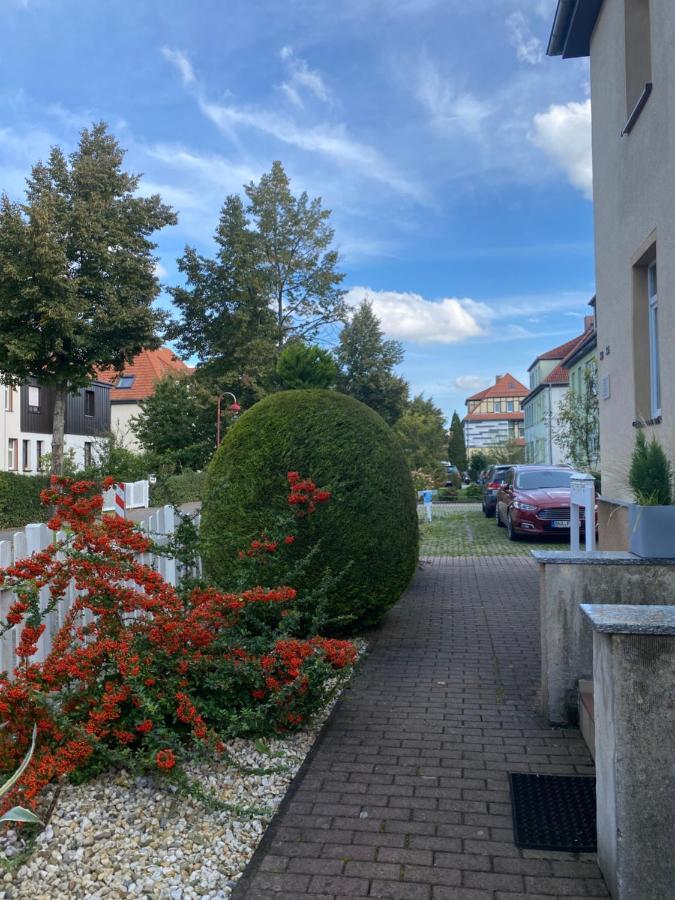Simply Nice Appartment Borna Exteriör bild
